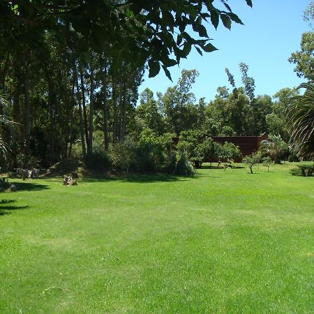 La Posta De La Laguna La Paloma Extérieur photo