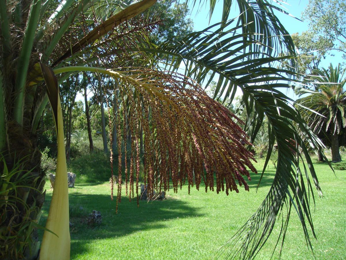 La Posta De La Laguna La Paloma Extérieur photo