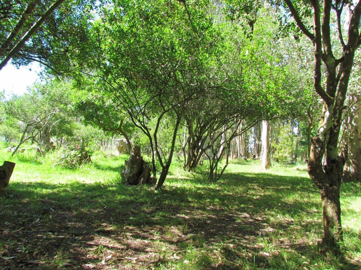 La Posta De La Laguna La Paloma Extérieur photo